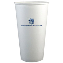 20 oz. Eco-Friendly Disposable Paper Cup